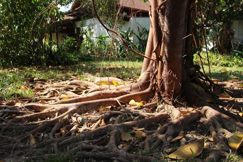 Terres Rouges alojamiento Banlung Exterior foto